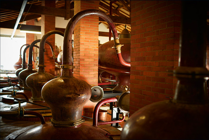 Maison D'Aincourt - L'âme de la distillerie